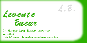 levente bucur business card